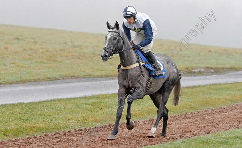 Jean-Genie-0001 
 JEAN GENIE (Alan Johns)
Chepstow 27 Dec 2019 - Pic Steven Cargill / Racingfotos.com