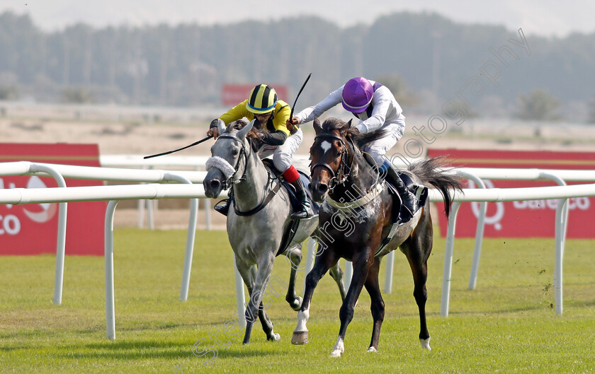 Krushan-0004 
 KRUSHAN (Ebrahim Nader) wins The Bahrain Economic Development Board Cup for purebred arabians
Sakhir Racecourse, Bahrain 19 Nov 2021 - Pic Steven Cargill / Racingfotos.com