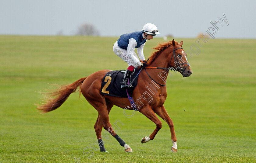 Cap-Dramont 
 CAP DRAMONT (Oisin Murphy)
Newmarket 29 Oct 2021 - Pic Steven Cargill / Racingfotos.com