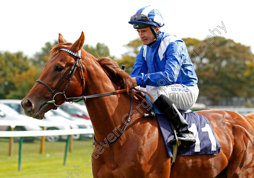 Tamkeen-0001 
 TAMKEEN (Dane O'Neill) Yarmouth 20 Sep 2017 - Pic Steven Cargill / Racingfotos.com