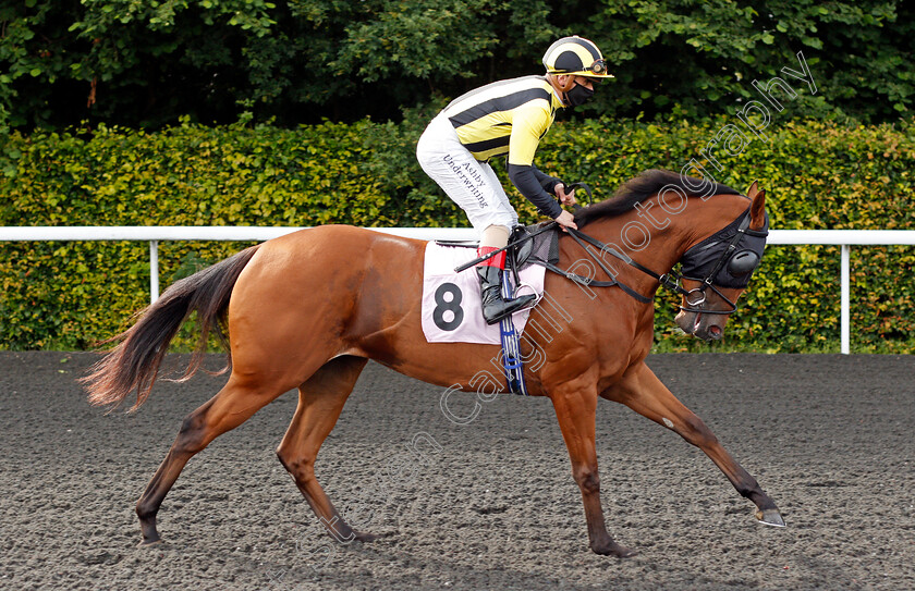 Safra-0002 
 SAFRA (Andrea Atzeni) winner of The British Stallion Studs EBF Fillies Novice Stakes
Kempton 30 Jun 2021 - Pic Steven Cargill / Racingfotos.com