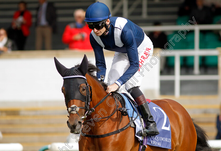 Commissioning-0010 
 COMMISSIONING (Robert Havlin) winner of The Al Basti Equiworld Dubai Rockfel Stakes
Newmarket 23 Sep 2022 - Pic Steven Cargill / Racingfotos.com