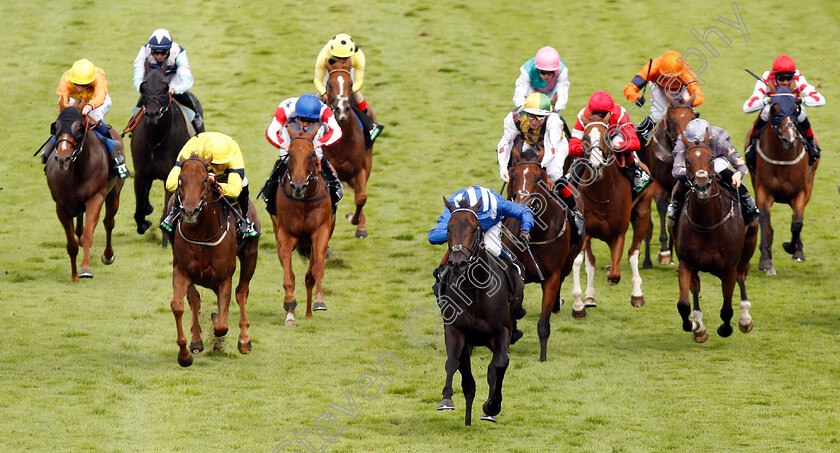 Khaadem-0006 
 KHAADEM (Jim Crowley) wins The Unibet Stewards Cup
Goodwood 3 Aug 2019 - Pic Steven Cargill / Racingfotos.com