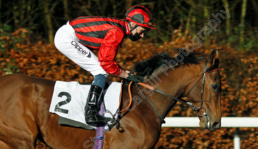 Ariel-0001 
 ARIEL (Kieran Shoemark)
Kempton 13 Jan 2021 - Pic Steven Cargill / Racingfotos.com