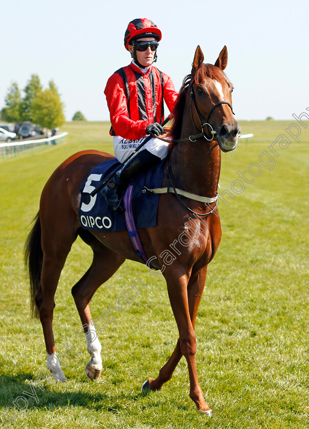 Indian-Blessing-0001 
 INDIAN BLESSING (Pat Cosgrave) Newmarket 6 May 2018 - Pic Steven Cargill / Racingfotos.com