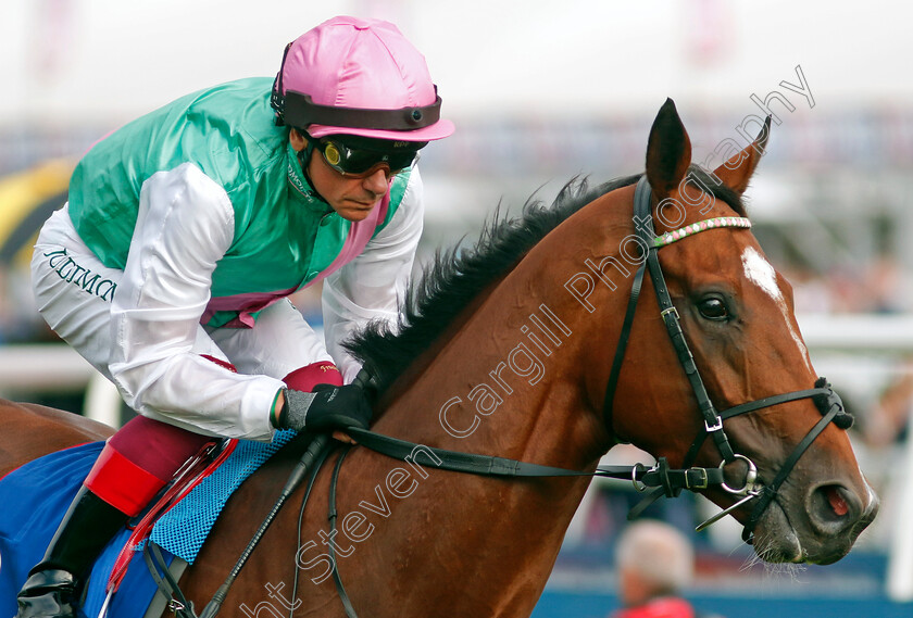 Arrest-0004 
 ARREST (Frankie Dettori)
Doncaster 16 Sep 2023 - Pic Steven Cargill / Racingfotos.com