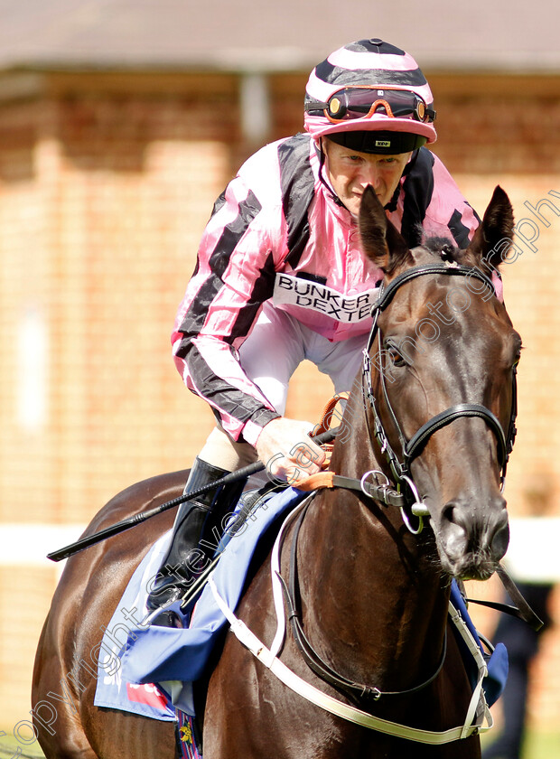 Chichester-0001 
 CHICHESTER (Joe Fanning)
York 26 Aug 2023 - Pic Steven Cargill / Racingfotos.com