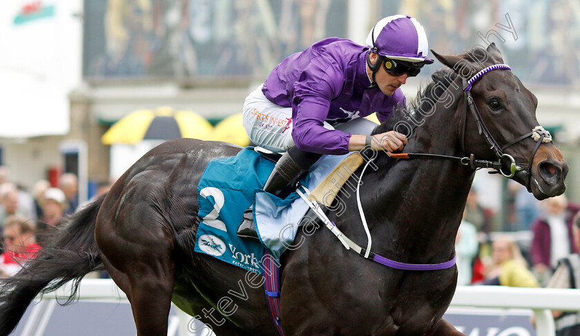 Cuban-Thunder-0002 
 CUBAN THUNDER (Kevin Stott) wins The Frank Whittle Partnership ebfstallions.com Maiden Stakes
York 18 May 2023 - Pic Steven Cargill / Racingfotos.com