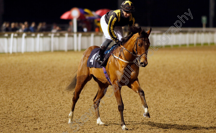 Lightning-Force-0001 
 LIGHTNING FORCE (Laura Pearson)
Wolverhampton 20 Dec 2024 - Pic Steven Cargill / Racingfotos.com