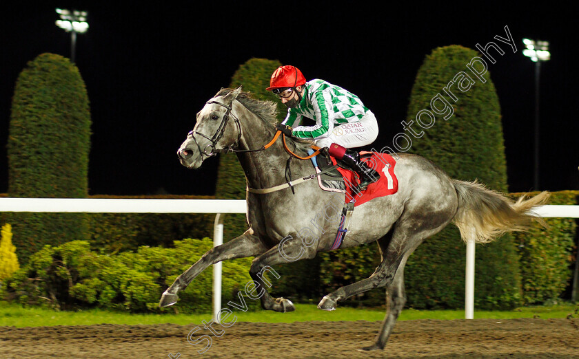 Paxos-0002 
 PAXOS (Oisin Murphy) wins The Unibet Extra Place Offers Every Day Handicap
Kempton 6 Oct 2021 - Pic Steven Cargill / Racingfotos.com