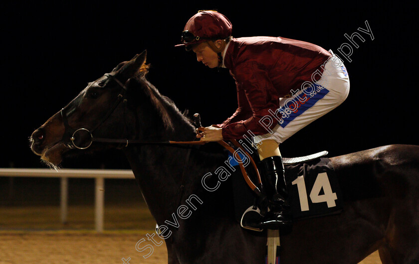 Phantasmic-0001 
 PHANTASMIC (David Probert) Chelmsford 16 Nov 2017 - Pic Steven Cargill / Racingfotos.com