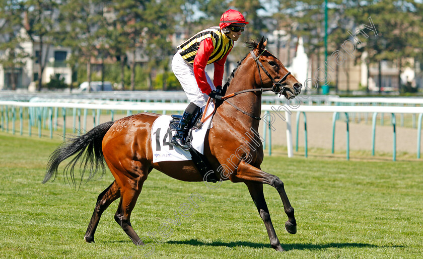 Miramar-0002 
 MIRAMAR (R Thomas)
Deauville 7 Aug 2022 - Pic Steven Cargill / Racingfotos.com