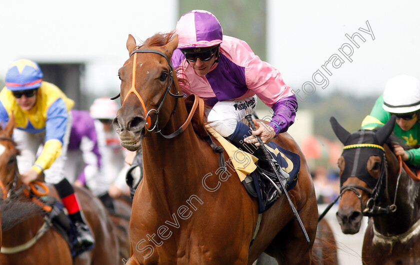 Bacchus-0006 
 BACCHUS (Jim Crowley) wins The Wokingham Stakes
Royal Ascot 23 Jun 2018 - Pic Steven Cargill / Racingfotos.com