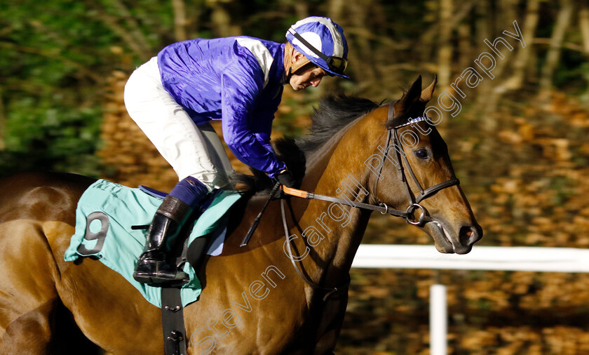 Jenubiyah-0001 
 JENUBIYAH (Jim Crowley)
Kempton 11 Dec 2024 - Pic Steven Cargill / Racingfotos.com