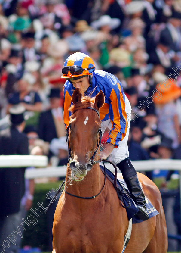 Fairy-Godmother-0005 
 FAIRY GODMOTHER (Ryan Moore) winner of The Albany Stakes
Royal Ascot 21 Jun 2024 - Pic Steven Cargill / Racingfotos.com