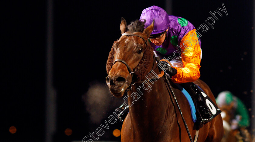 Arnarson-0004 
 ARNARSON (Martin Harley) wins The Bet Trifecta At totesport.com Handicap Chelmsford 15 Feb 2018 - Pic Steven Cargill / Racingfotos.com