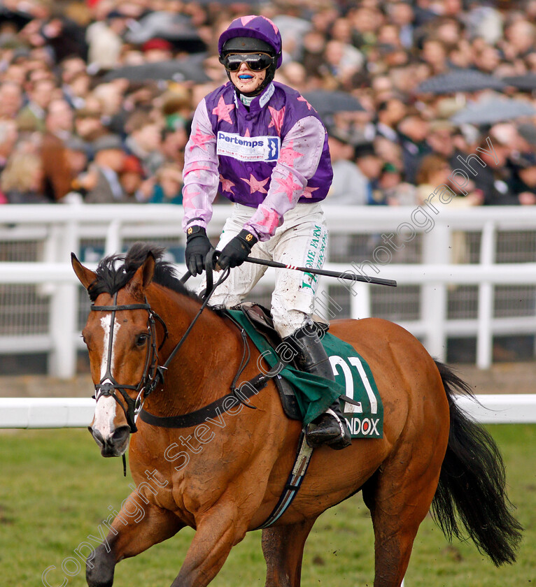 Mohaayed-0008 
 MOHAAYED (Bridget Andrews) wins The Randox Health County Handicap Hurdle Cheltenham 16 mar 2018 - Pic Steven Cargill / Racingfotos.com