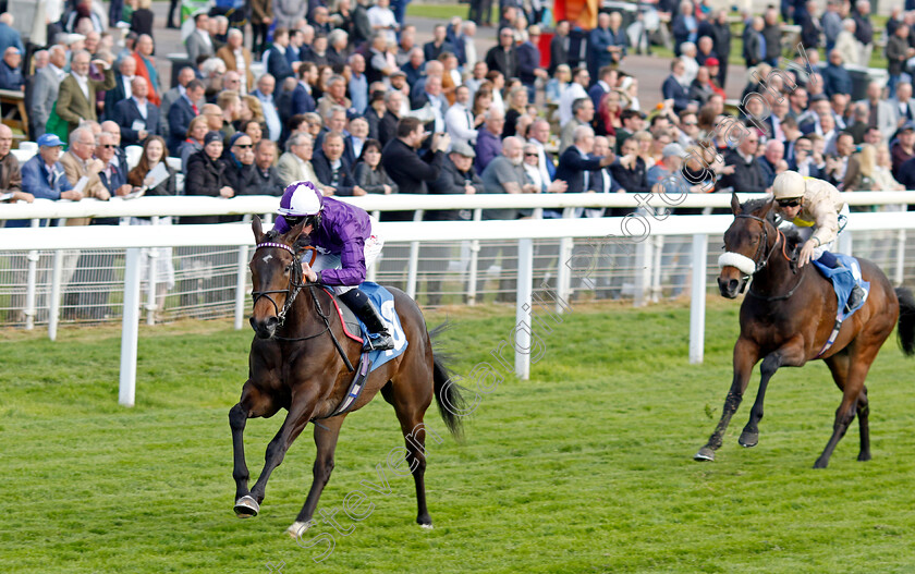 Queen-Olly-0003 
 QUEEN OLLY (Rossa Ryan) wins The Frank Whittle Partnership ebfstallions.com Maiden Stakes
York 12 May 2022 - Pic Steven Cargill / Racingfotos.com