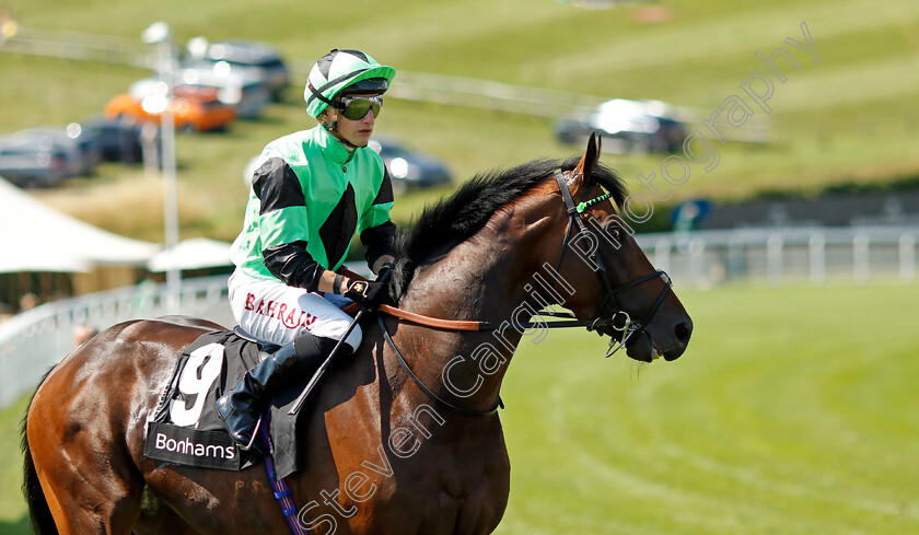 Socialite-0001 
 SOCIALITE (Tom Marquand)
Goodwood 2 Aug 2024 - Pic Steven Cargill / Racingfotos.com