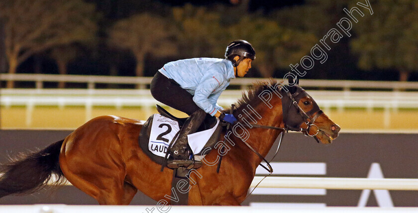 Lauda-Sion-0001 
 LAUDA SION training for The Godolphin Mile
Meydan, Dubai, 22 Mar 2023 - Pic Steven Cargill / Racingfotos.com