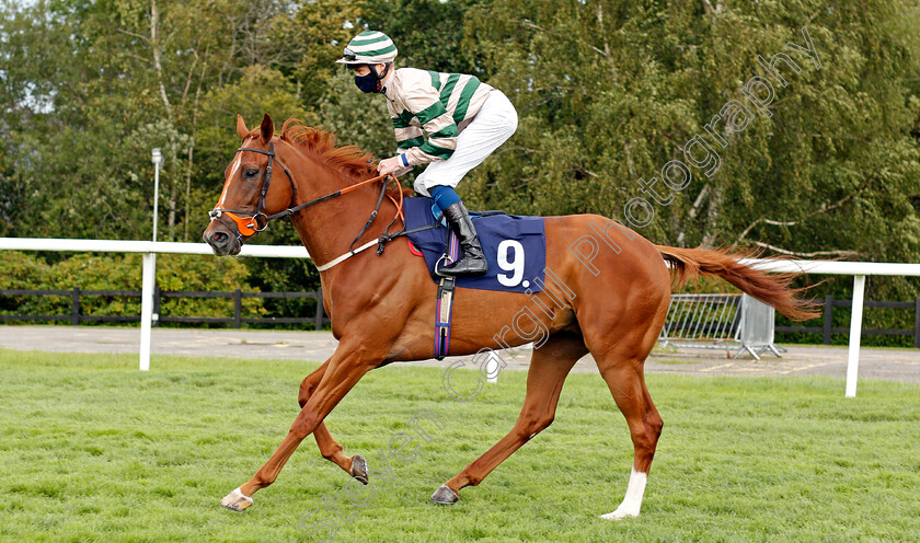 Rhinestone-Blue-0001 
 RHINESTONE BLUE (Daniel Muscutt)
Lingfield 26 Aug 2020 - Pic Steven Cargill / Racingfotos.com