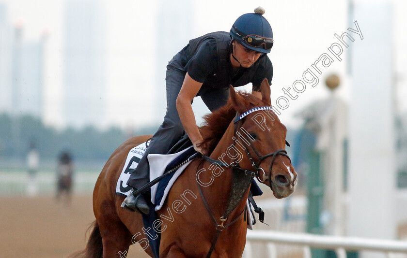 Salvuccio-0001 
 SALVUCCIO training at the Dubai Racing Carnival 
Meydan 4 Jan 2024 - Pic Steven Cargill / Racingfotos.com