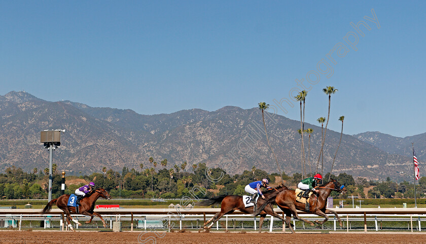 Gingham-0002 
 GINGHAM (Joel Rosario) wins Maiden
Santa Anita USA 31 Oct 2019 - Pic Steven Cargill / Racingfotos.com