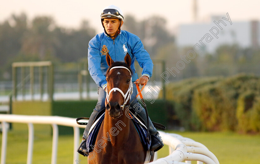 Hans-Andersen-0001 
 HANS ANDERSEN training at the Dubai Racing Carnival
Meydan 22 Jan 2025 - Pic Steven Cargill / Racingfotos.com