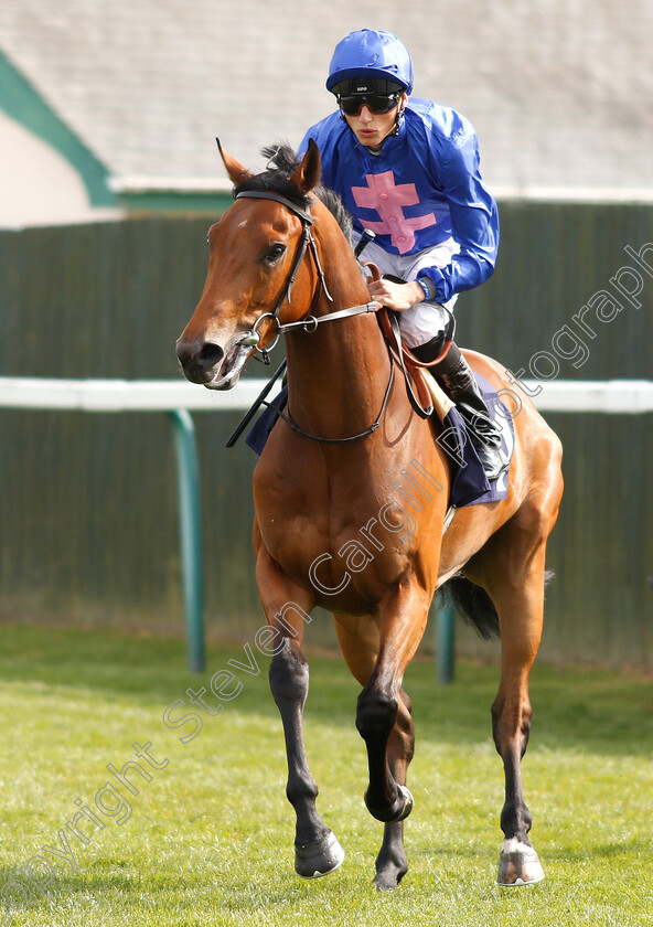 Knowing-0001 
 KNOWING (George Wood)
Yarmouth 23 Apr 2019 - Pic Steven Cargill / Racingfotos.com