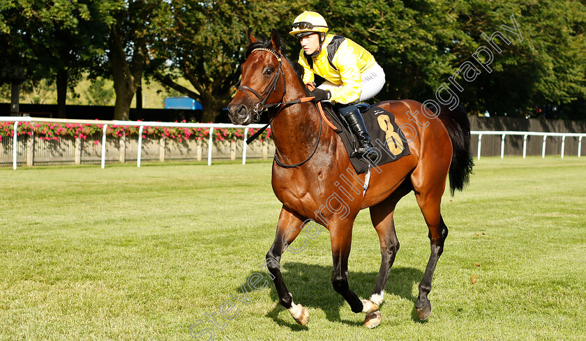 Nahaarr-0001 
 NAHAARR (Georgia Cox) winner of The Jigsaw Sports Branding Handicap
Newmarket 28 Jun 2019 - Pic Steven Cargill / Racingfotos.com