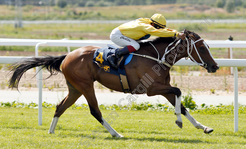 Silent-Night-0005 
 SILENT NIGHT (Carlos Lopez) wins Futre Stars Race
Bro Park 30 Jun 2019 - Pic Steven Cargill / Racingfotos.com