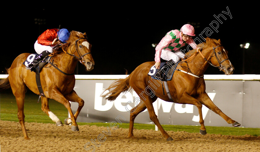 Engrossed-0002 
 ENGROSSED (Rob Hornby) beats REGAL BANNER (left) in The Ladbrokes Home Of The Odds Boost Fillies Novice Stakes Div2
Wolverhampton 10 Dec 2018 - Pic Steven Cargill / Racingfotos.com