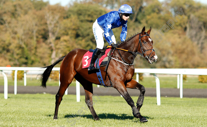 Mom-Said-0001 
 MOM SAID (James Bowen)
Kempton 21 Oct 2018 - Pic Steven Cargill / Racingfotos.com