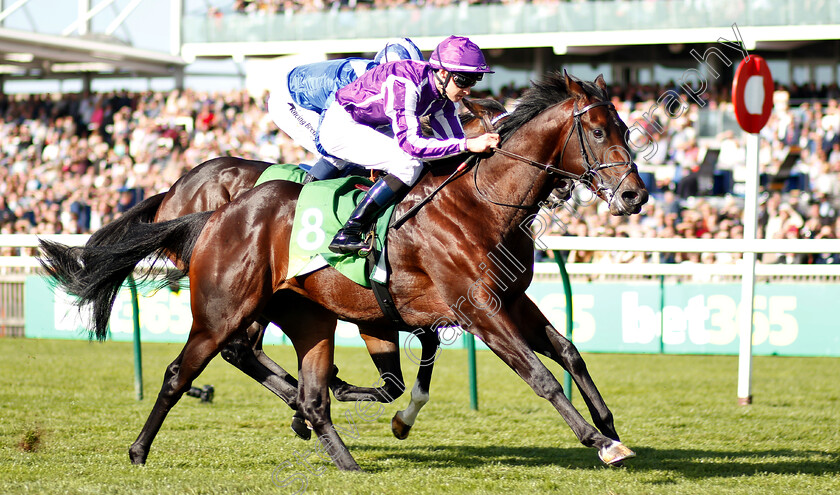 Ten-Sovereigns-0005 
 TEN SOVEREIGNS (Donnacha O'Briens) wins The Juddmonte Middle Park Stakes
Newmarket 29 Sep 2018 - Pic Steven Cargill / Racingfotos.com