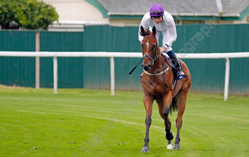 Miss-Mai-Tai-0002 
 MISS MAI TAI (Callum Shepherd)
Yarmouth 19 Sep 2023 - Pic Steven Cargill / Racingfotos.com