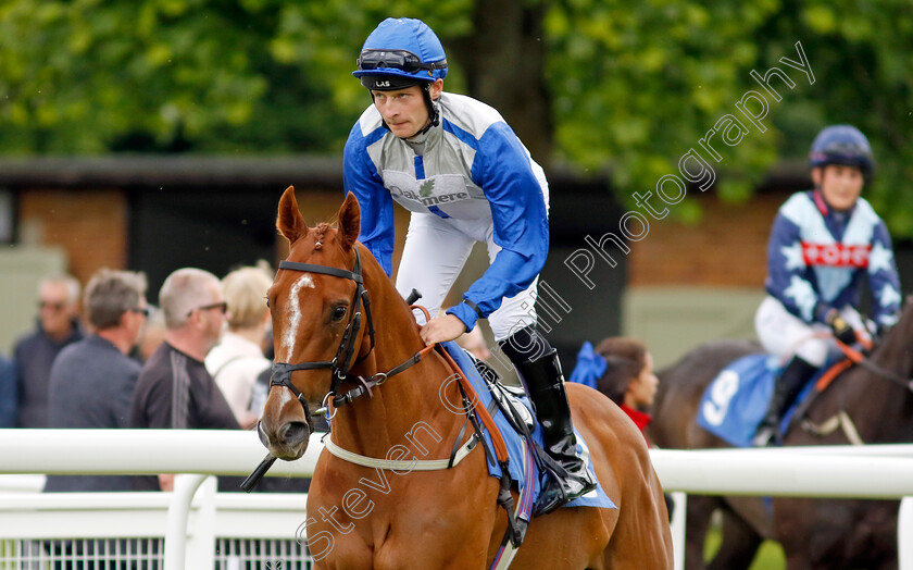 Rothay-Park-0001 
 ROTHAY PARK (Joe Bradnam)
Salisbury 16 Jun 2024 - Pic Steven Cargill / Racingfotos.com