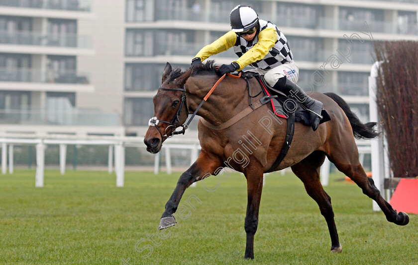 Next-Destination-0005 
 NEXT DESTINATION (Harry Cobden) wins The Ladbrokes John Francome Novices Chase
Newbury 28 Nov 2020 - Pic Steven Cargill / Racingfotos.com