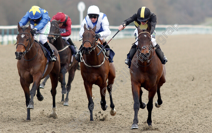 Spirit-Warning-0006 
 SPIRIT WARNING (Joshua Bryan) beats HYPNOS (left) in The Ladbrokes Home of The Odds Boost Handicap
Lingfield 2 Feb 2019 - Pic Steven Cargill / Racingfotos.com