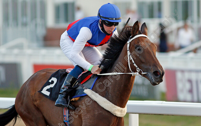 Melburnian-0009 
 MELBURNIAN (Levi Williams) wins The Racing Welfare Novice Median Auction Stakes
Chelmsford 22 Aug 2020 - Pic Steven Cargill / Racingfotos.com