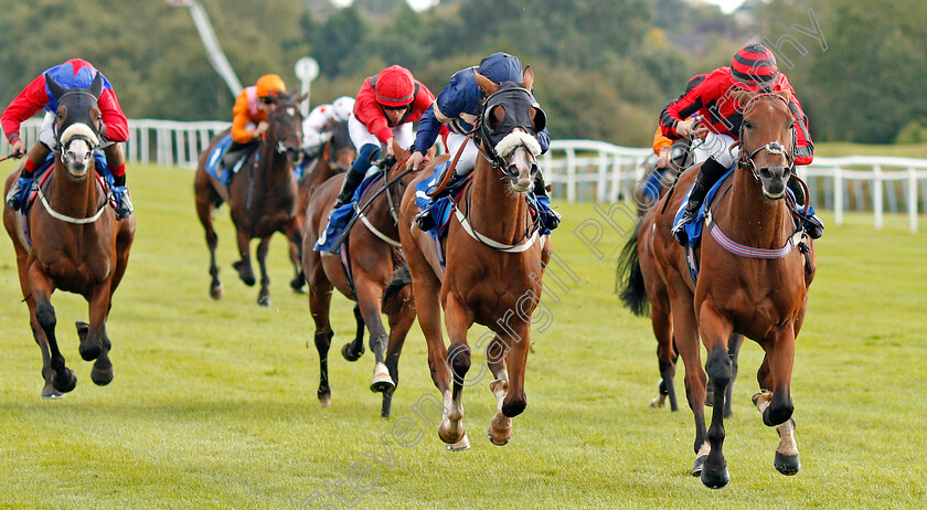 Sea-Of-Mystery-0001 
 SEA OF MYSTERY (Mark Crehan) beats ORANGE SUIT (centre) in The Swan Apprentice Handicap
Leicester 10 Sep 2019 - Pic Steven Cargill / Racingfotos.com