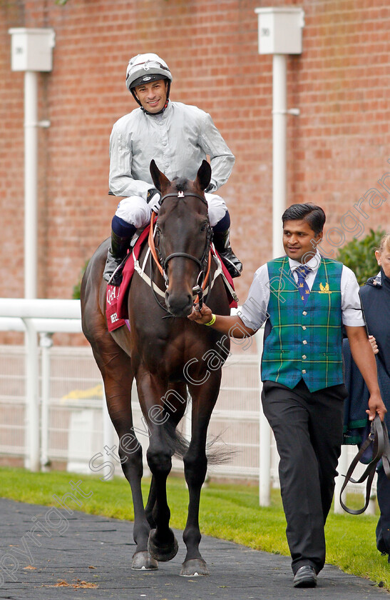 Dee-Ex-Bee-0001 
 DEE EX BEE (Silvestre De Sousa)
Goodwood 30 Jul 2019 - Pic Steven Cargill / Racingfotos.com