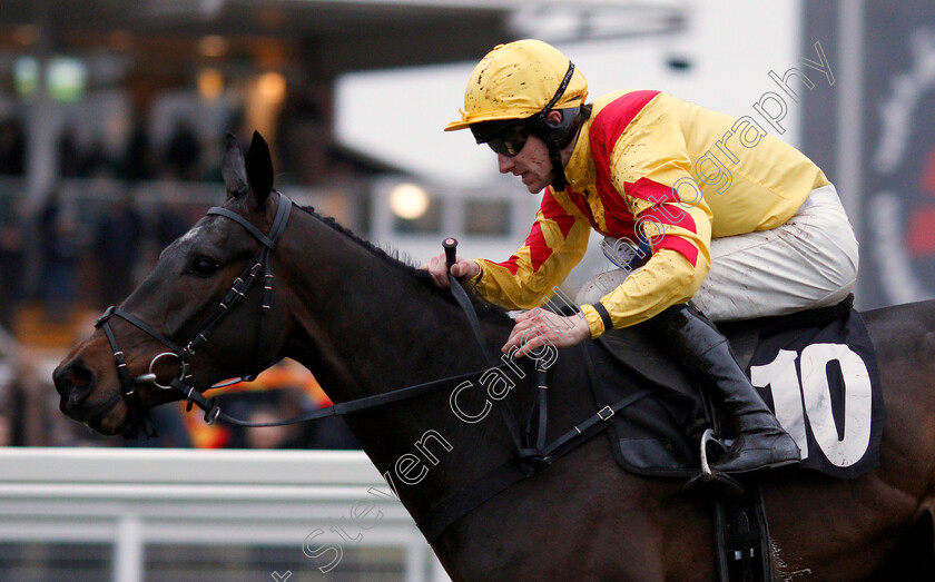 Acey-Milan-0005 
 ACEY MILAN (Brian Hughes) wins The Best Odds Guaranteed At Betfair Bumper Newbury 10 Feb 2018 - Pic Steven Cargill / Racingfotos.com