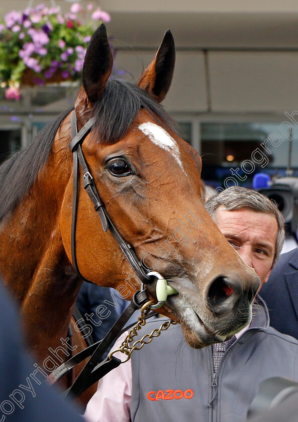 Tuesday-0013 
 TUESDAY winner of The Cazoo Oaks
Epsom 3 Jun 2022 - Pic Steven Cargill / Racingfotos.com