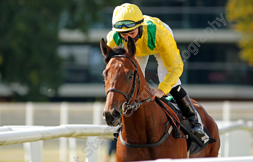 Headora-0001 
 HEADORA (Rossa Ryan)
Newbury 18 Sep 2020 - Pic Steven Cargill / Racingfotos.com