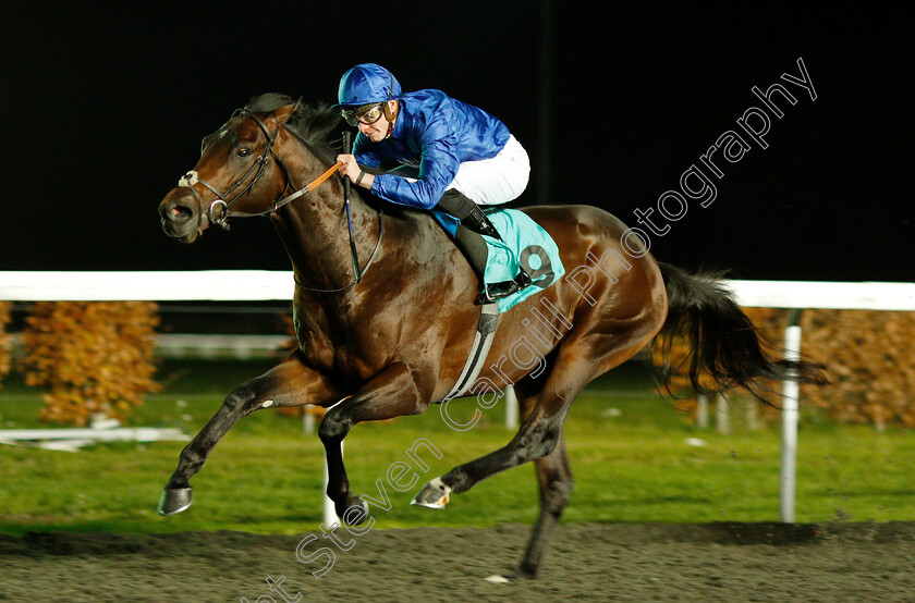 Zakouski-0006 
 ZAKOUSKI (James Doyle) wins The 32Red Casino ebfstallions.com Novice Stakes Div1
Kempton 21 Nov 2018 - Pic Steven Cargill / Racingfotos.com