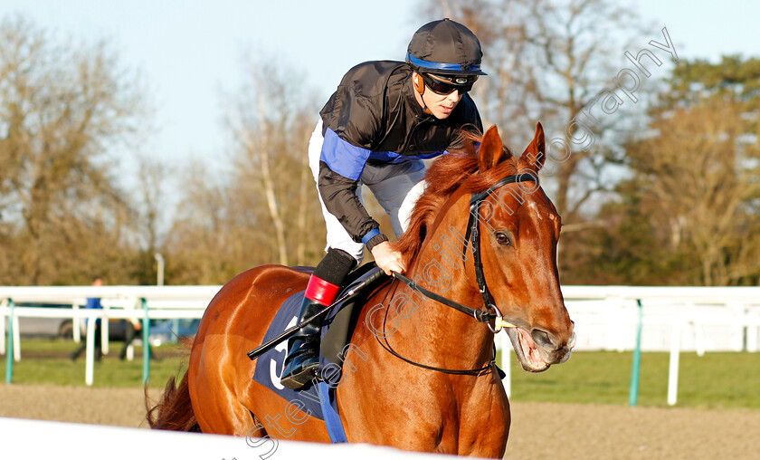 Never-Before-0001 
 NEVER BEFORE (Ben Curtis)
Lingfield 8 Feb 2020 - Pic Steven Cargill / Racingfotos.com