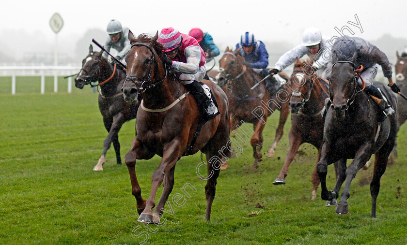 Stone-Circle-0005 
 STONE CIRCLE (Ray Dawson) wins The Macmillan Cancer Support Handicap
Ascot 2 Oct 2020 - Pic Steven Cargill / Racingfotos.com