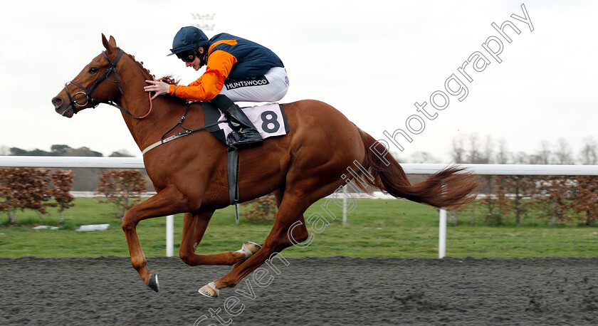 Oloroso-0006 
 OLOROSO (Joshua Bryan) wins The 100% Profit Boost At 32redsport.com Handicap
Kempton 23 Mar 2019 - Pic Steven Cargill / Racingfotos.com