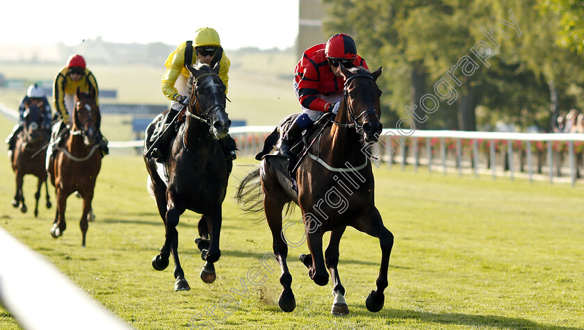 Glutnforpunishment-0004 
 GLUTNFORPUNISHMENT (Silvestre De Sousa) wins The Lettergold Handicap
Newmarket 28 Jun 2019 - Pic Steven Cargill / Racingfotos.com