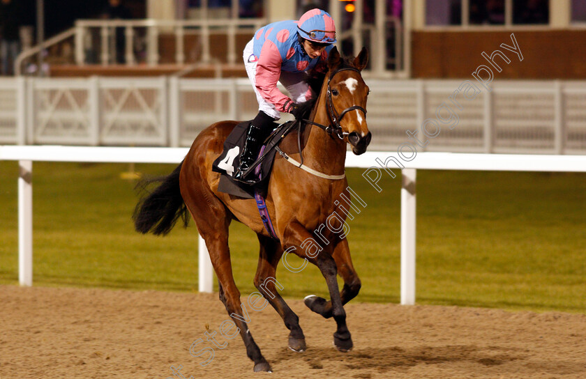 Daybreak-0001 
 DAYBREAK (P J McDonald) Chelmsford 1 Dec 2017 - Pic Steven Cargill / Racingfotos.com